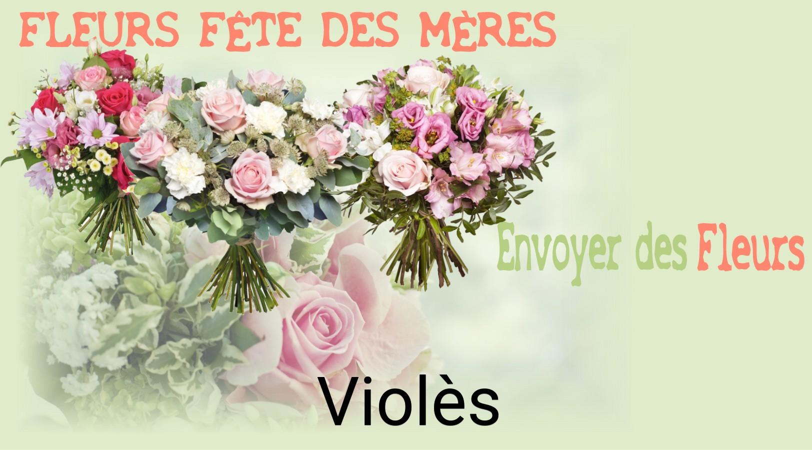 Bouquet de Fête des Mères livré à Violès